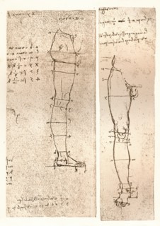 Two drawings illustrating the theory of the proportions of the human figure, c1472-c1519 (1883). Artist: Leonardo da Vinci.