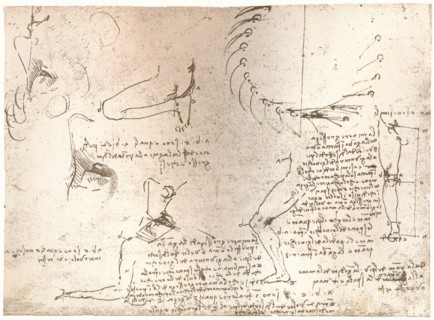 Sketches illustrating the theory of the proportions of the human figure, c1472-c1519 (1883). Artist: Leonardo da Vinci.