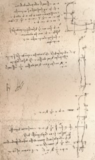 Drawing illustrating the theory of the proportions of the human figure, c1472-c1519 (1883). Artist: Leonardo da Vinci.
