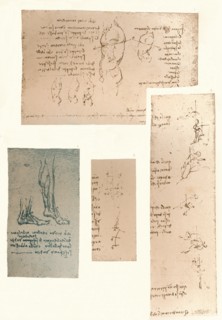 Four drawings illustrating the theory of the movements of the human figure, c1472-c1519 (1883). Artist: Leonardo da Vinci.
