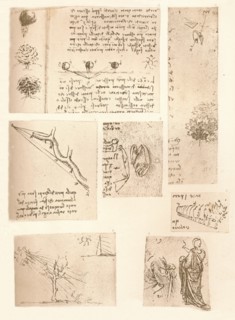 Five drawings illustrating the elements of landscape painting, c1472-c1519 (1883). Artist: Leonardo da Vinci.