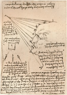 Drawing of a male head, illustrating the practice of painting, c1472-c1519 (1883). Artist: Leonardo da Vinci.
