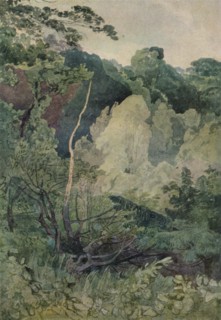 'Trees near the Greta River', c19th century. Artist: John Sell Cotman.