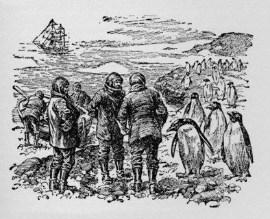 'Landed on a small island inhabited by myriads of penguins', c1918. Artist: Unknown.