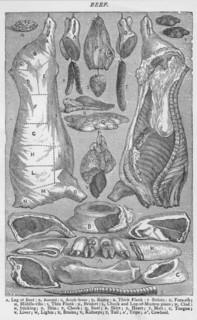'Beef', 1907, (1907). Artist: Unknown.