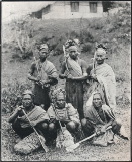 'Assamese', c1903. Artist: F Kapp & Co.