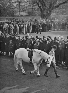 'The Empty Saddle: King George's white pony, Jock, being led in procession', 1936. Artist: Unknown.