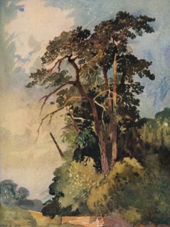 'Study of Trees', c1880. Artist: Alfred William Rich.