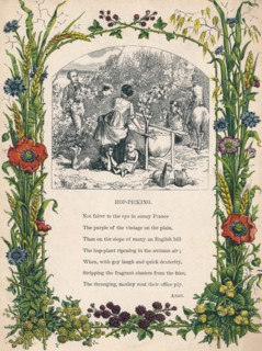 'Hop-Picking', c1900. Artist: Unknown.