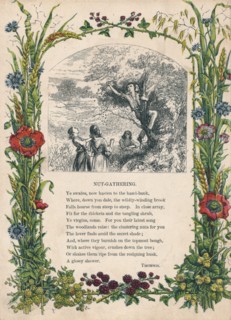 'Nut-Gathering', by Thomson, c1900. Artist: Unknown.