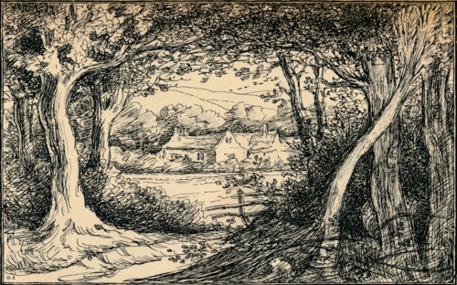 'The End of the Glade, Epping Forest', c1900. Artist: Selwyn Image.