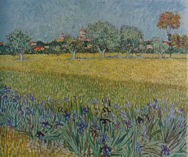 'View of Ales with Irises in Bloom', 1888. Artist: Vincent van Gogh.