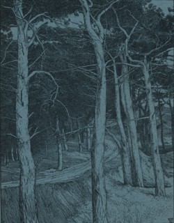 Woodland, c1912. Artist: Willem Wenckebach.