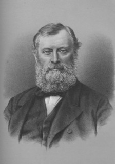 William Edward Forster, British industrialist, philanthropist and politician, c1880 (1883).  Artist: Unknown.
