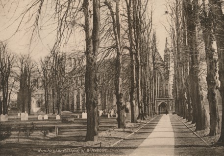 Winchester Cathedral and Avenue, Hampshire, early 20th century(?).  Artist: Unknown.