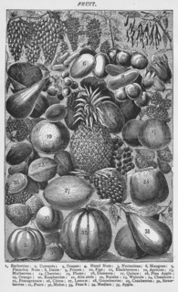'Fruit', 1907, (1907). Artist: Unknown.