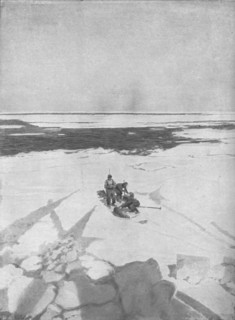 'Killing Seals', 1911, (1928). Artist: Unknown.