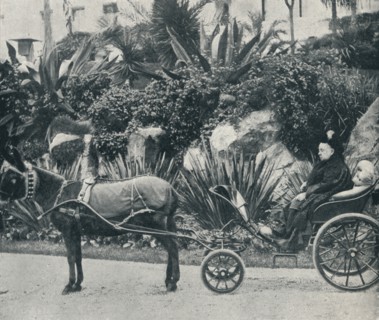 'The Queen Driving in the Grounds of the Grand Hotel at Grasse During Her Holiday in the Riviera in  Artist: Alexander Lamont Henderson.