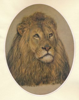 'Lion's Head', c1896. Artist: Frank Paton.
