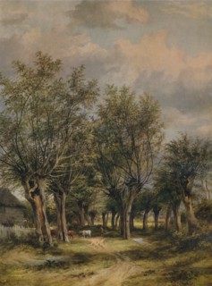 'A Lane near Norwich', c1837. Artist: James Stark.