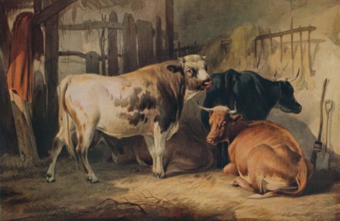 'A Bull and three Cows in a Stable', c1856. Artist: Thomas Sidney Cooper.