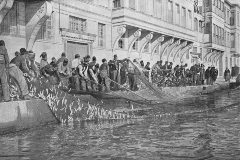 'Hauling in a Grippo of 15000 Fish at Emirgian on the Bosphorus', c1901, (1903). Artist: Unknown.
