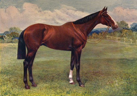 Spearmint, c1905 (c1910). Artist: Unknown.