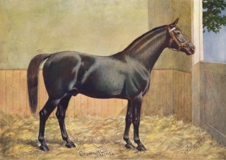 Yorkshire Coach Horse stallion Crown Prince, 1902 (c1910). Artist: Henry Powell Palfrey.