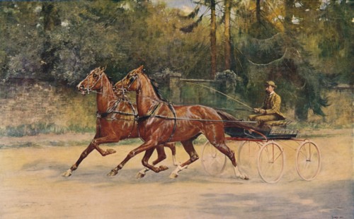 Trotting pair of Walter Winans, 1900 (c1910). Artist: Thomas Blinks.