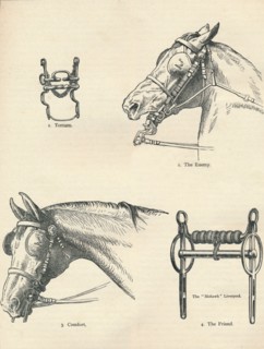 Horse bits, good and bad, c1909 (c1910). Artist: Unknown.
