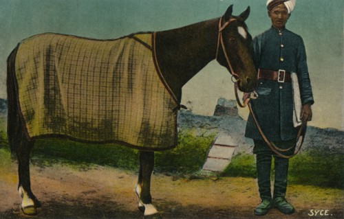 'Syce', c1910. Artist: Unknown.