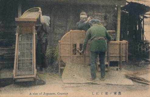 'A rice of Japanese, Country', c1910.  Artist: Unknown.