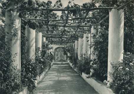 Pergola in a vineyard, Capri, Italy, 1927. Artist: Eugen Poppel.