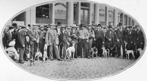 Dog sellers and buyers in the East End, London, c1900 (1901). Artist: Unknown.