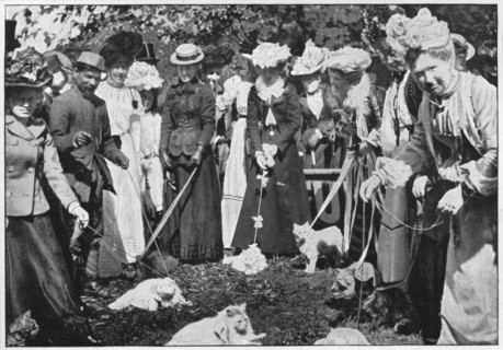 Judging cats at the Royal Botanic Gardens show, Kew, London, c1900 (1901). Artist: Unknown.