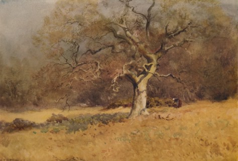 'Winter Woods', c1916, (1938). Artist: William Eyre Walker.