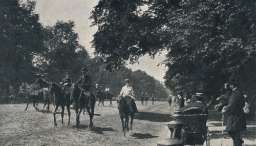 'Rotten Row, Hyde Park', c1900. Artist: Unknown.