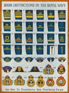 Rank distinctions in the Royal Navy, c1919 (1919). Artist: Unknown.