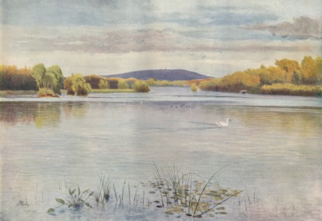 'Vachery Pond', 1911, (1914). Artist: James S Ogilvy.