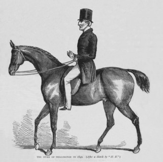 The Duke of Wellington, c1842 (1878). Artist: Unknown.