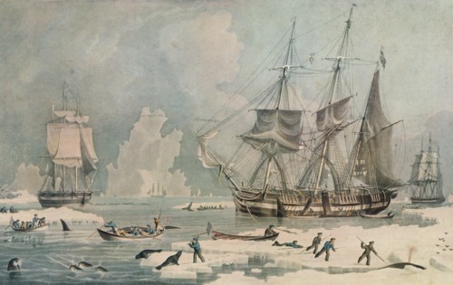 'Northern Whale Fishery', c1829. Artist: Edward Duncan.