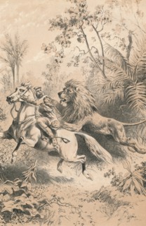 'African Traveller Attacked by A Lion', c1880. Artist: Unknown.