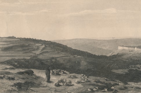 'Mount of Olives & Valley of Jehoshaphat', 1871. Artist: D Mitchell.