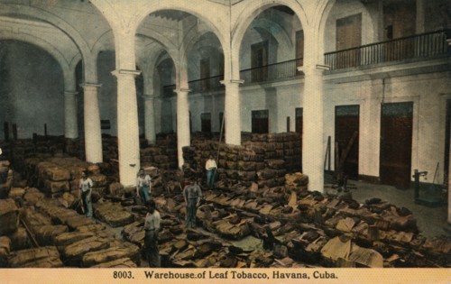 'Warehouse of Leaf Tobacco, Havana, Cuba', c1910. Artist: Unknown.
