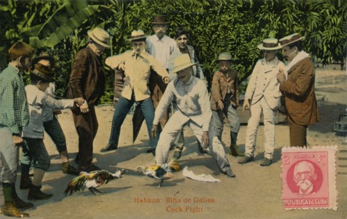 'Habana: Rina de Gallos. Cock Fight', 1918. Artist: Unknown.