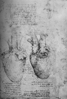 'Two Drawings of the Heart', c1480 (1945). Artist: Leonardo da Vinci.