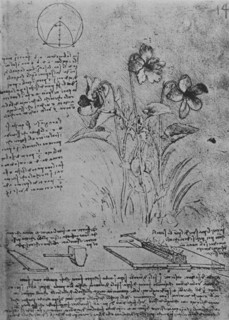 'Studies of Violas and of Methods of Soldering Lead Roofs', c1480 (1945). Artist: Leonardo da Vinci.