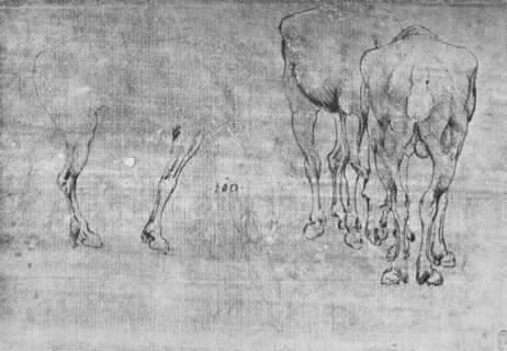 'Studies of Horses Grazing', c1480 (1945). Artist: Leonardo da Vinci.