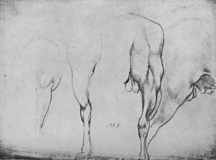 'Studies of Horses' Legs', c1480 (1945). Artist: Leonardo da Vinci.