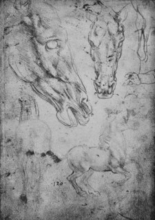 'Studies of Horses and of Horses' Heads', c1480 (1945). Artist: Leonardo da Vinci.